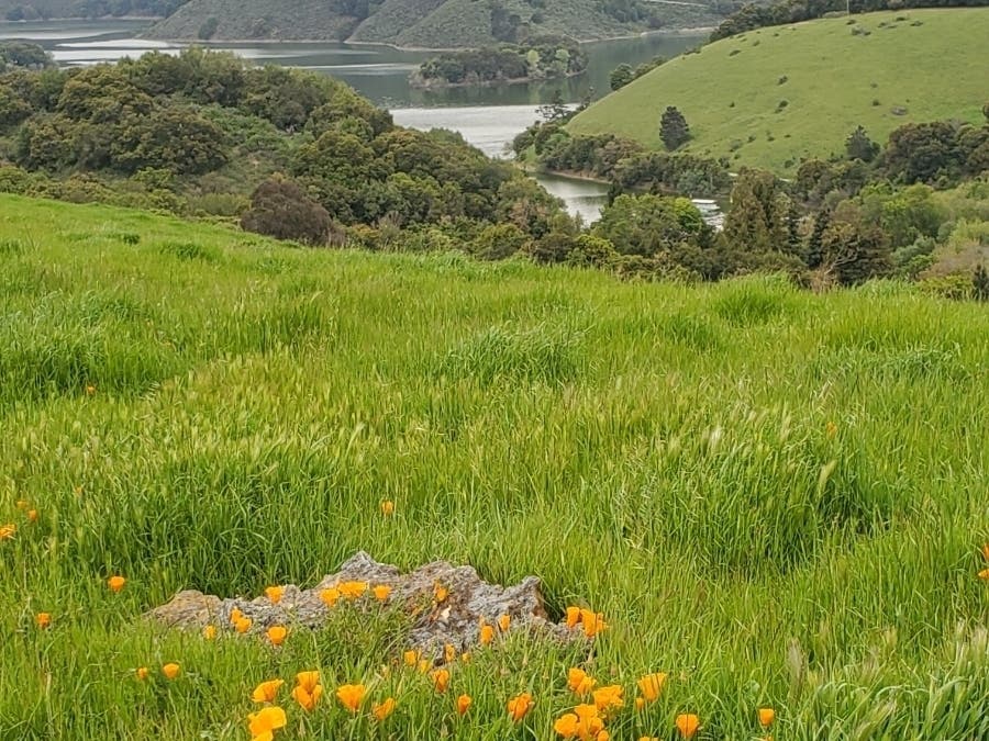 Lake Chabot, Calif.