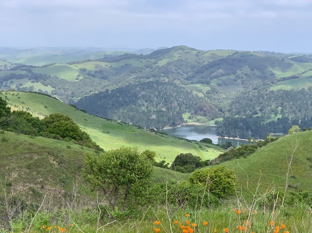San Pablo Reservoir, Calif.
