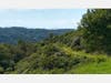On Juan Batista trail, Castro Valley, part of the Bay Ridge trail, Castro Valley, Calif.