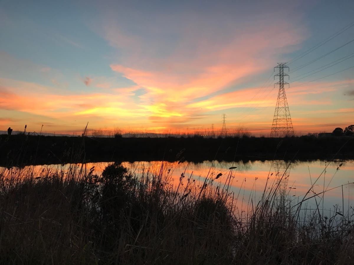 Sunset at Eden Landing, Calif.