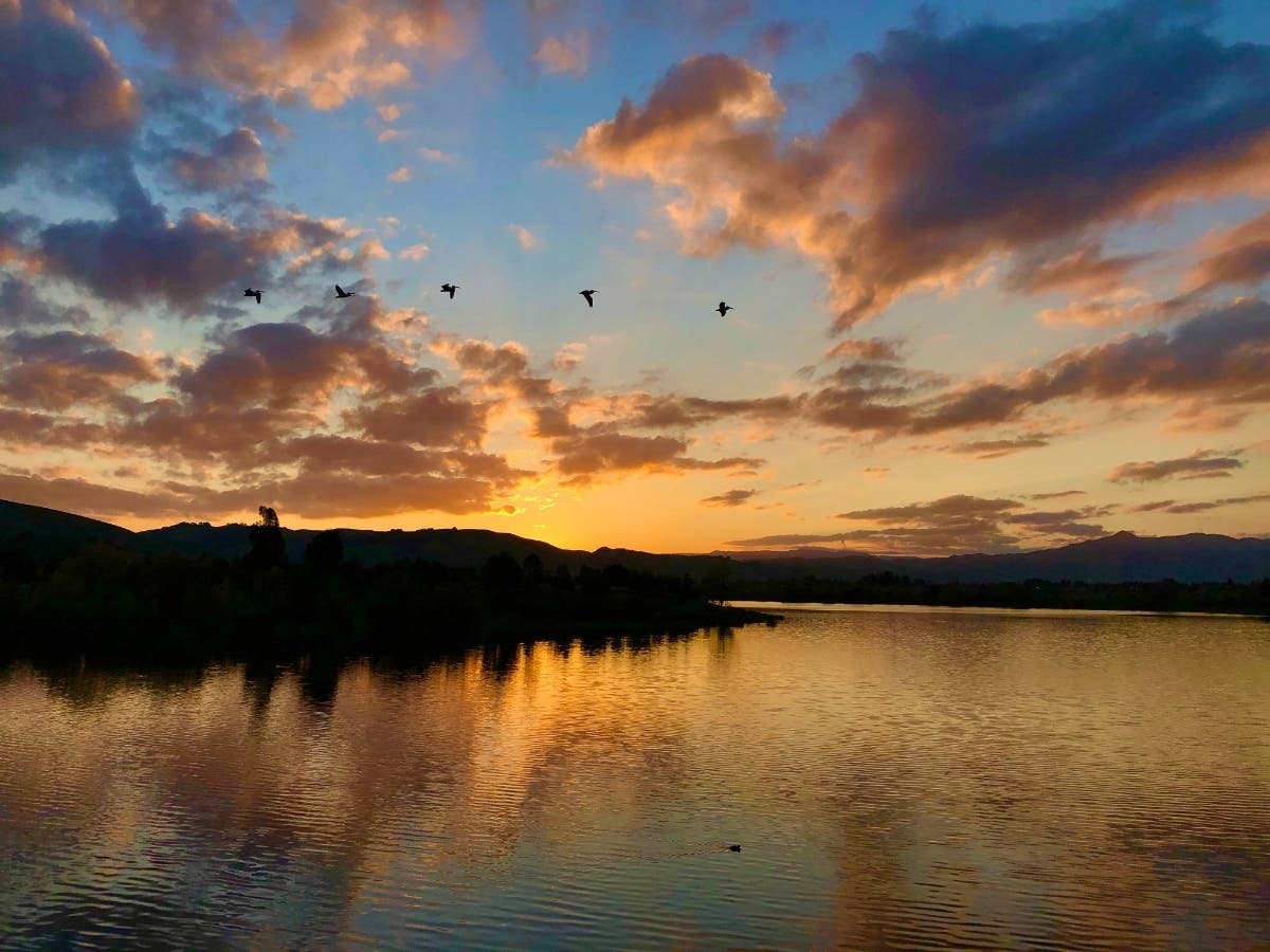 Quarry Lakes Regional Park in Fremont, Calif.