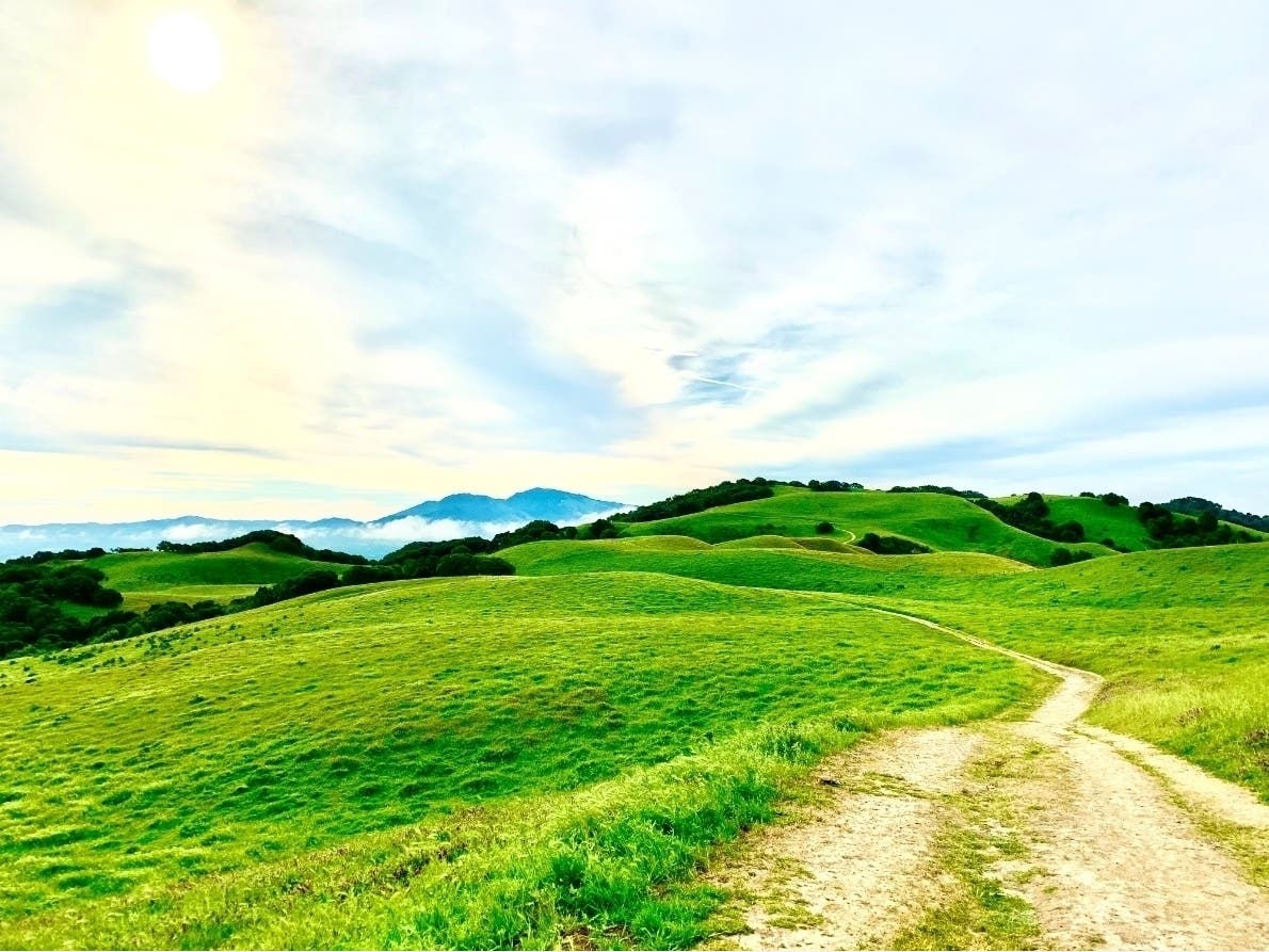 Mt. Diablo is in the distance.