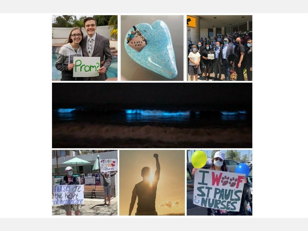 Our Saturday Smiles Stories Will Make Your Day