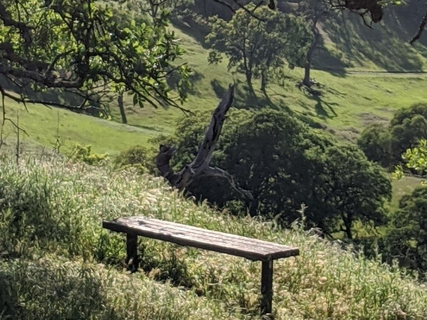 Walnut Creek Preserve., Walnut Creek, Calif.