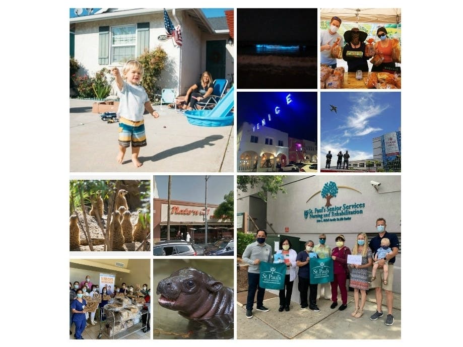 Our Saturday Smiles Stories Will Make Your Day