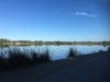 Lake Elizabeth in Central Park, Fremont, Calif.