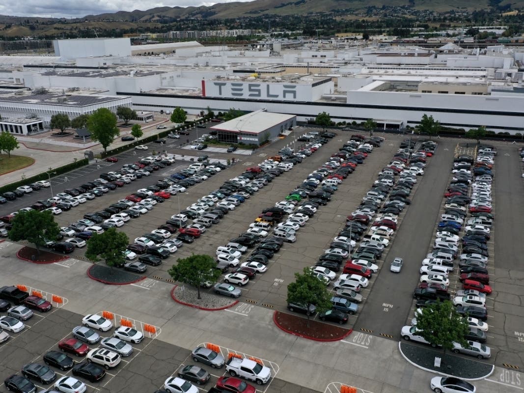 Elon Musk Opened Tesla's Fremont Plant, Ignoring State's Shelter In Place Orders