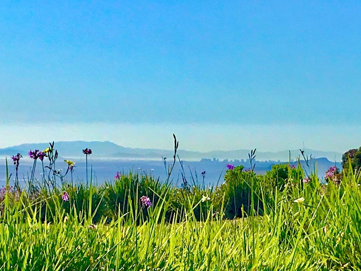 San Francisco Bay, framed with land.