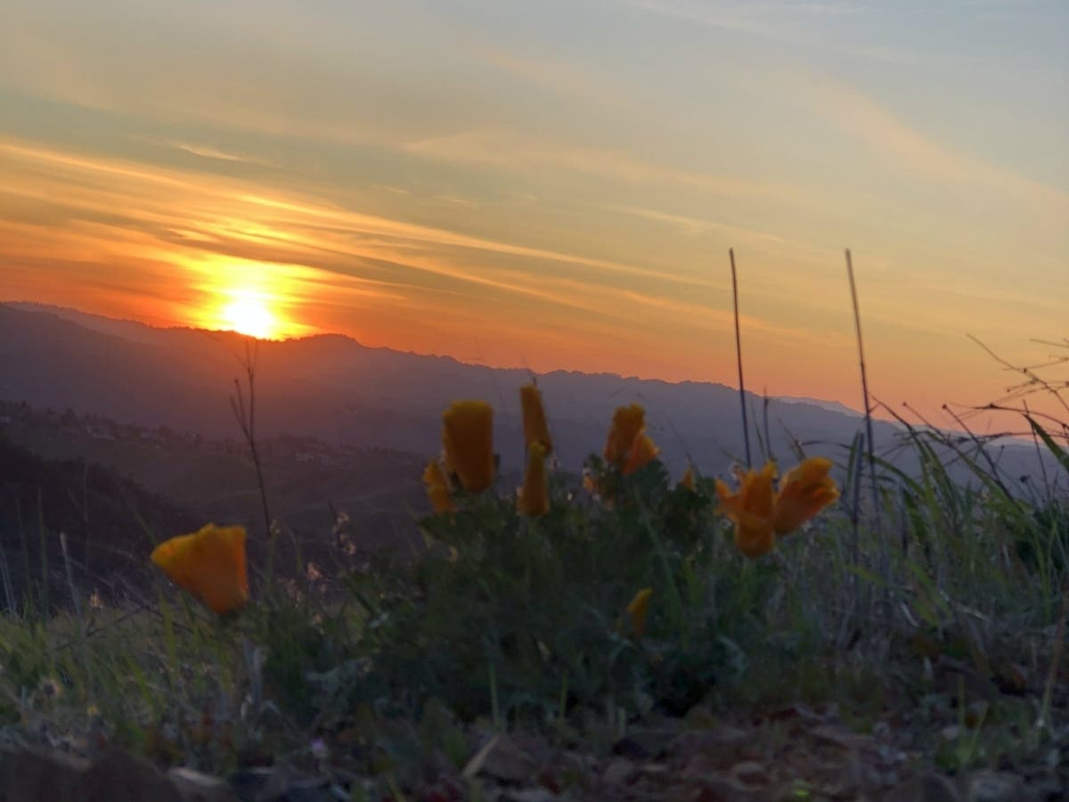 Sunset over Mt. Diablo, Calif.