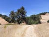 Hiking the Volvon Trail, Morgan Territory Regional Preserve, Calif.