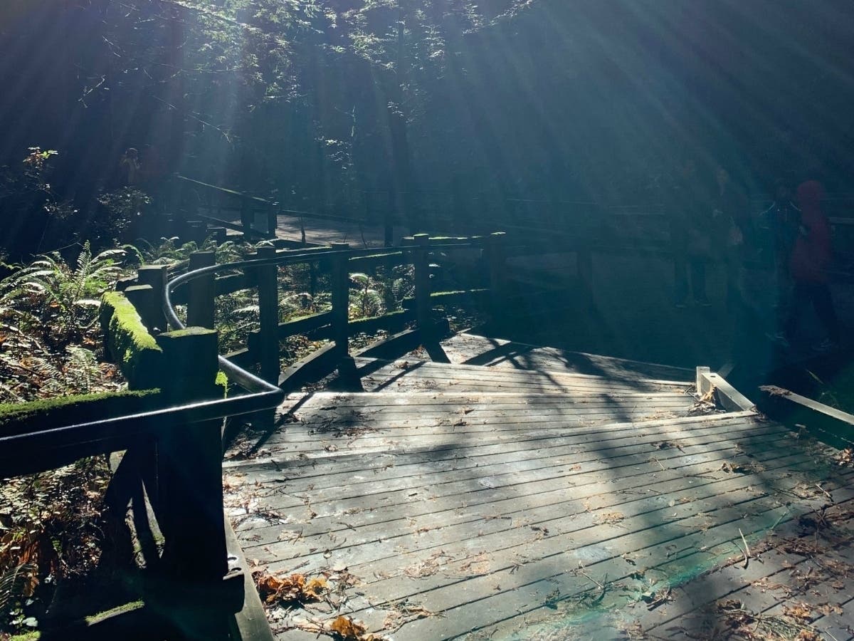 Muir Woods National Monument, Mill Valley, Calif.