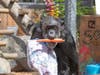 Maggie enjoys a carrot at her birthday party, along with one of her presents, a blanket.
