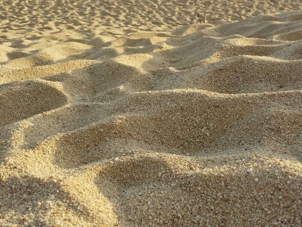 You will need to arrive early to stake out your socially-distanced stretch of sand.