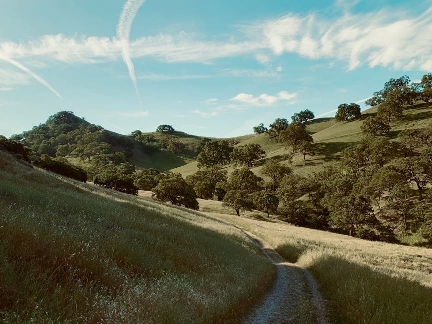 Shell Ridge Open Space in Walnut Creek, Calif.