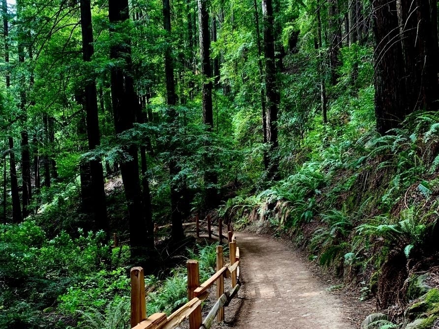 Redwood Regional Park, Oakland, Calif.