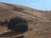 A hike at Garin Regional Park in Hayward, Calif.