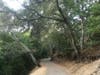 A hike at Garin Regional Park in Hayward, Calif.