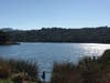 Fishing at Lafayette Reservoir, Calif.