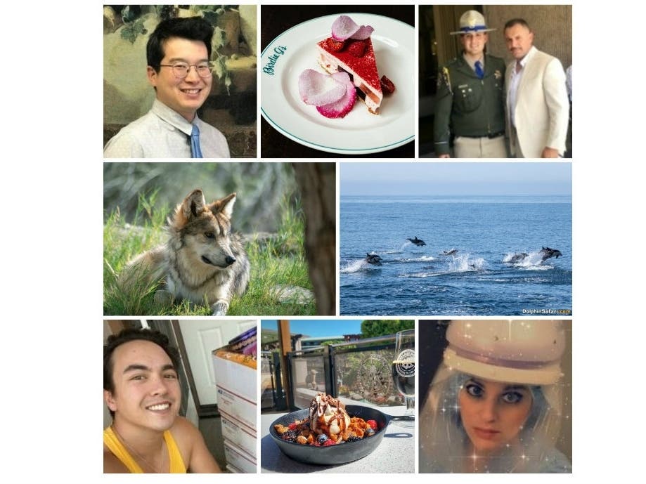 Our Saturday Smiles Stories Will Make Your Day