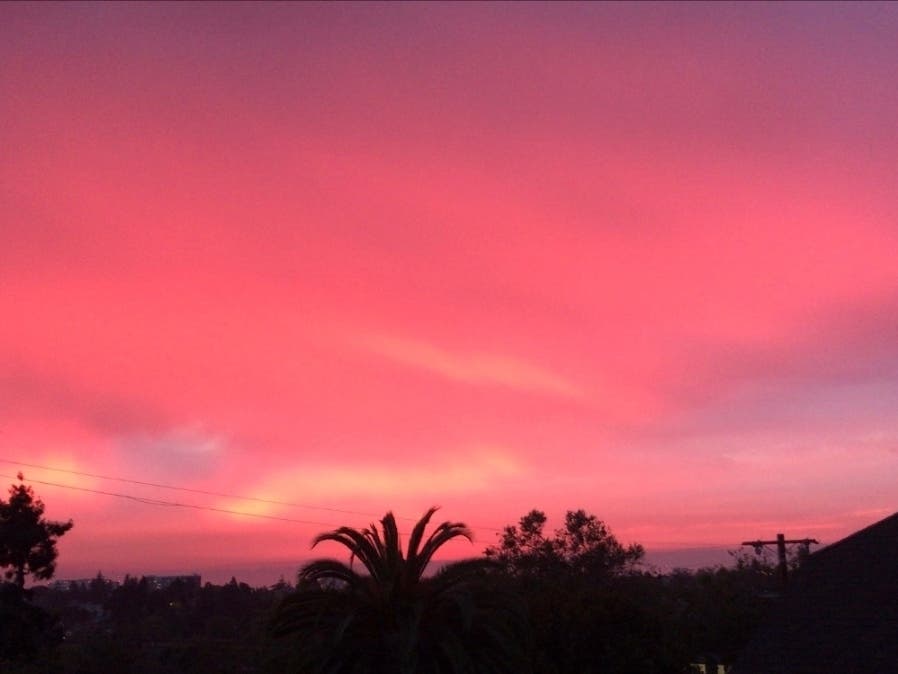 Sunset over San Francisco Bay. Photo taken in Piedmont, Calif.