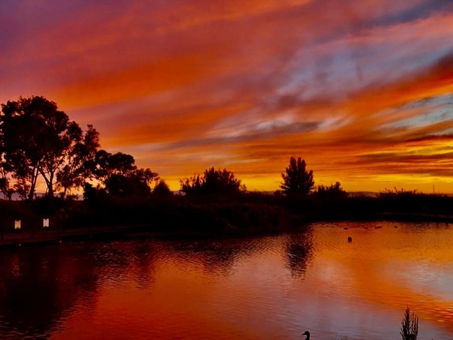 Sunset over the Duck Pond, San Lorenzo, Calif.