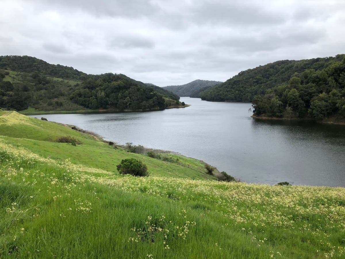 San Leandro Reservoir, Moraga, Calif.