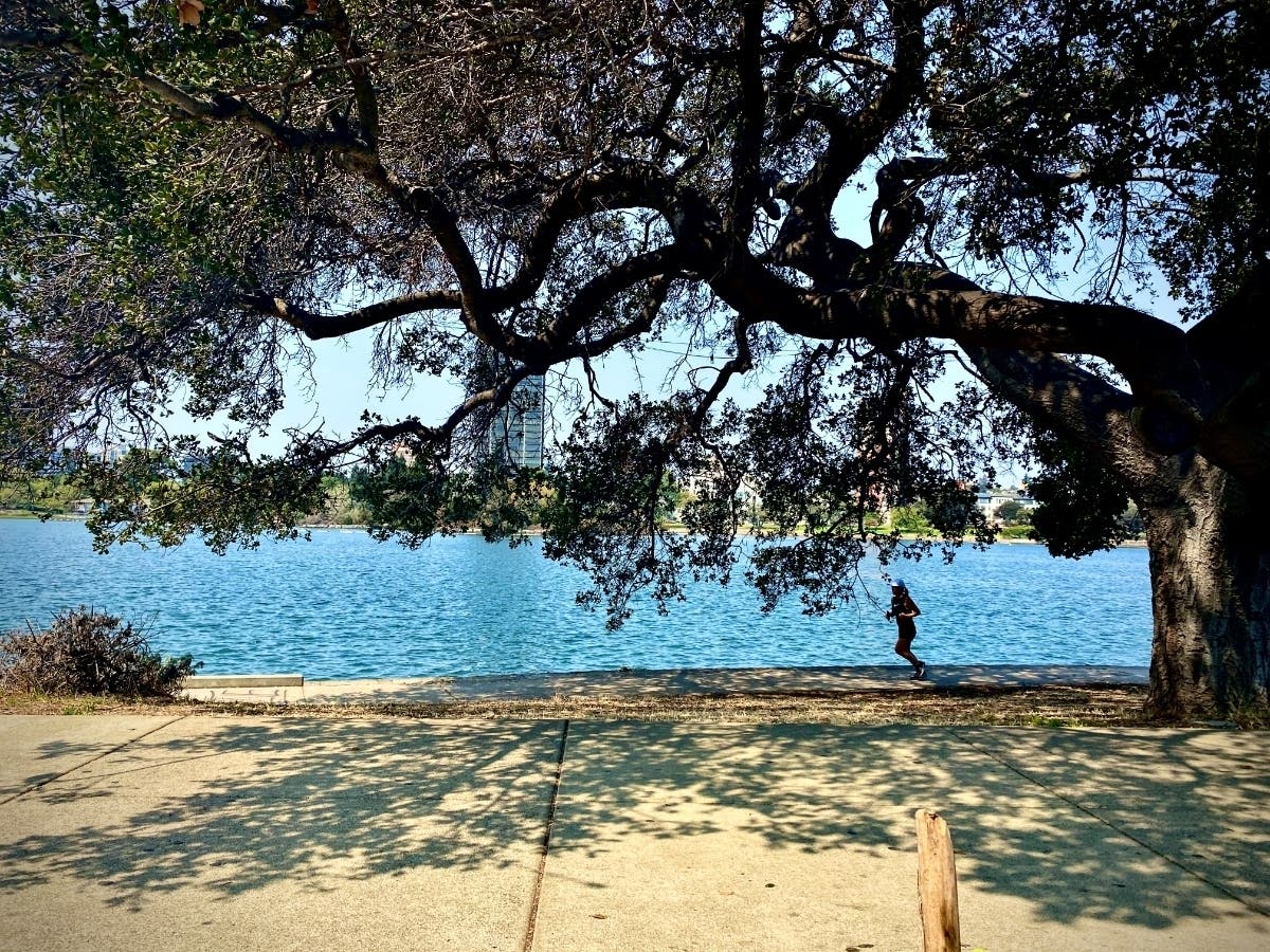 Lake Merritt, Oakland, Calif.