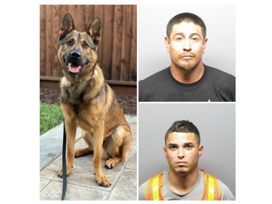 K9 officer Zeus and 2 men arrested on suspicion of vehicle theft.