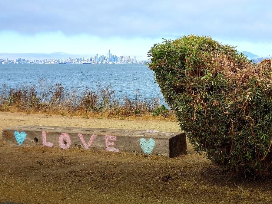 Look at this view of San Francisco from across the Bay.