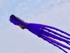 Octopus-shaped kite flying over Alameda, Calif.