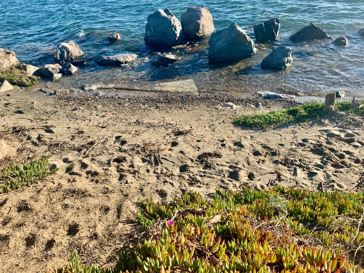 Ballena Island, Alameda, Calif.