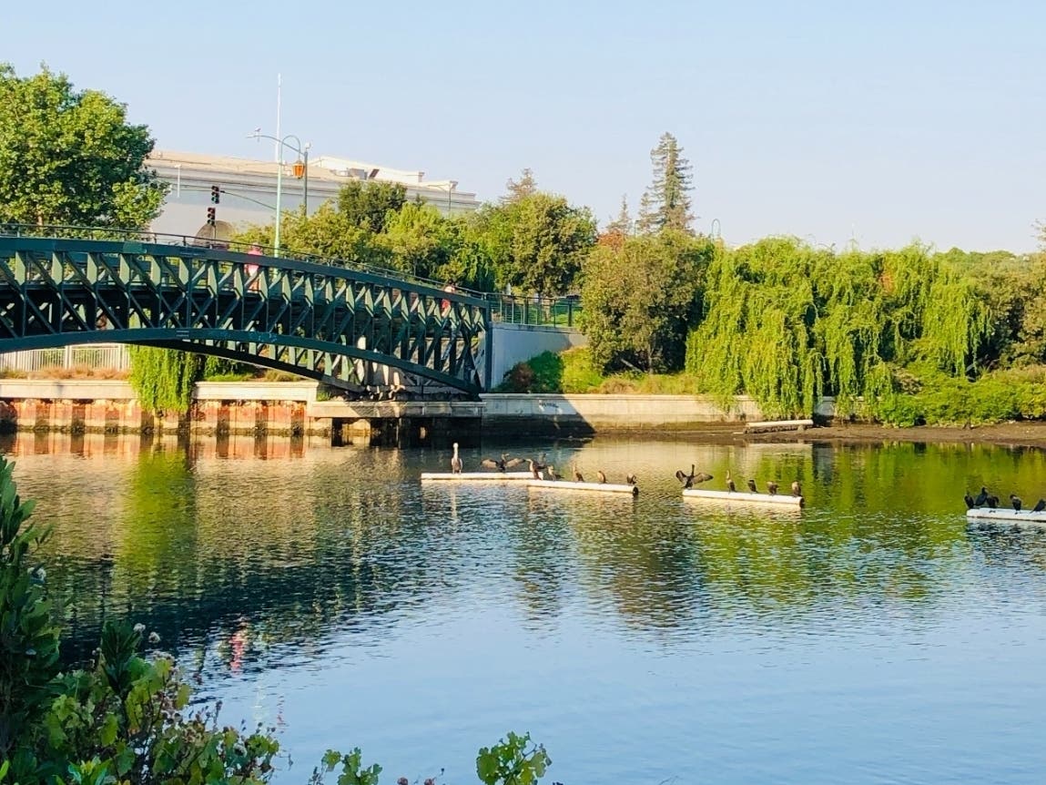 Lake Merritt, Oakland, Calif.