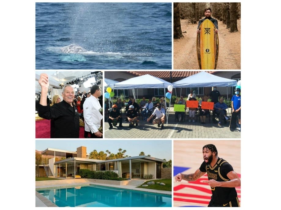 Our Saturday Smiles Stories Will Make Your Day