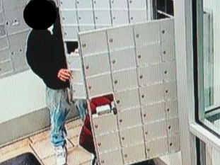 https://patch.com/img/cdn20/users/21854731/20201022/025939/styles/patch_image/public/mail-theft___22145647096.png