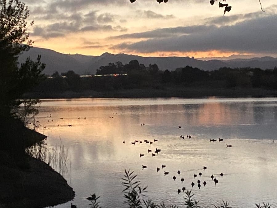 Quarry Lakes Regional Park in Fremont, Calif.