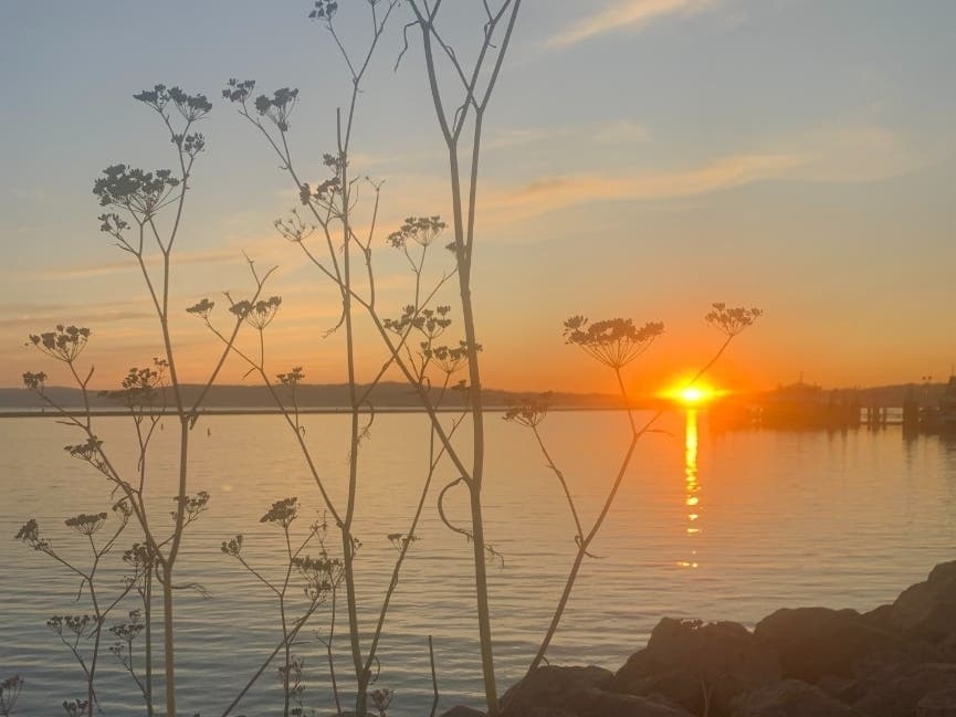 Sunset over the water, Alameda, Calif.