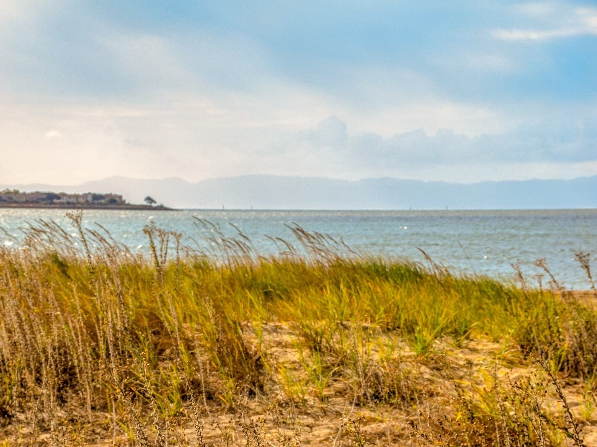 San Francisco Bay, Alameda, Calif.