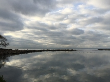 Crown Harbor, Alameda, Calif.