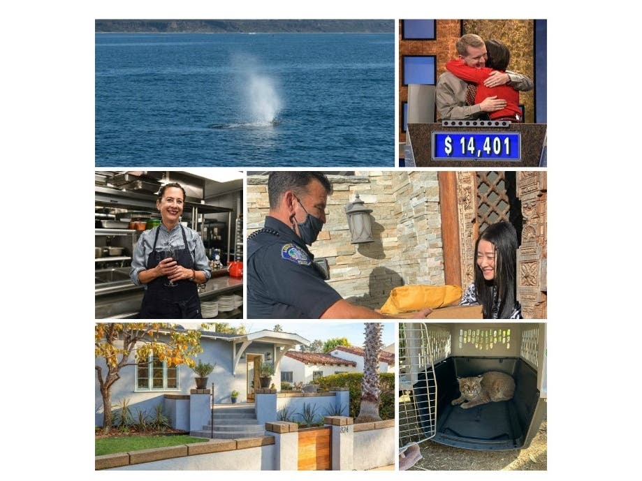 Jeopardy Productions via Getty Images; realtor.com