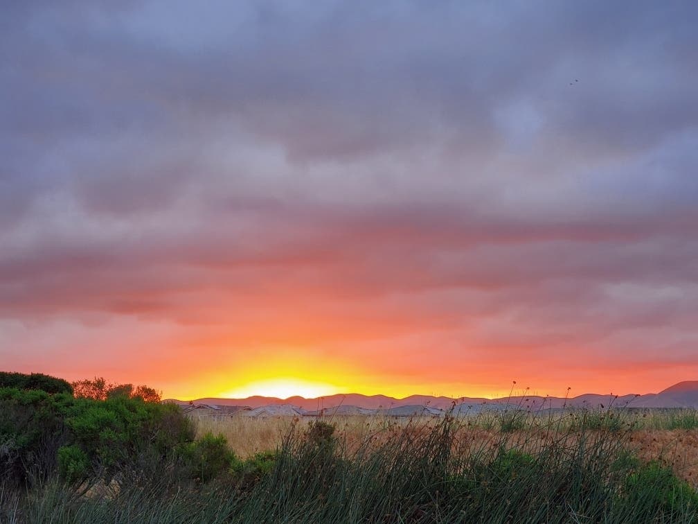 Sunrise from a hiking trail in Newark, Calif.