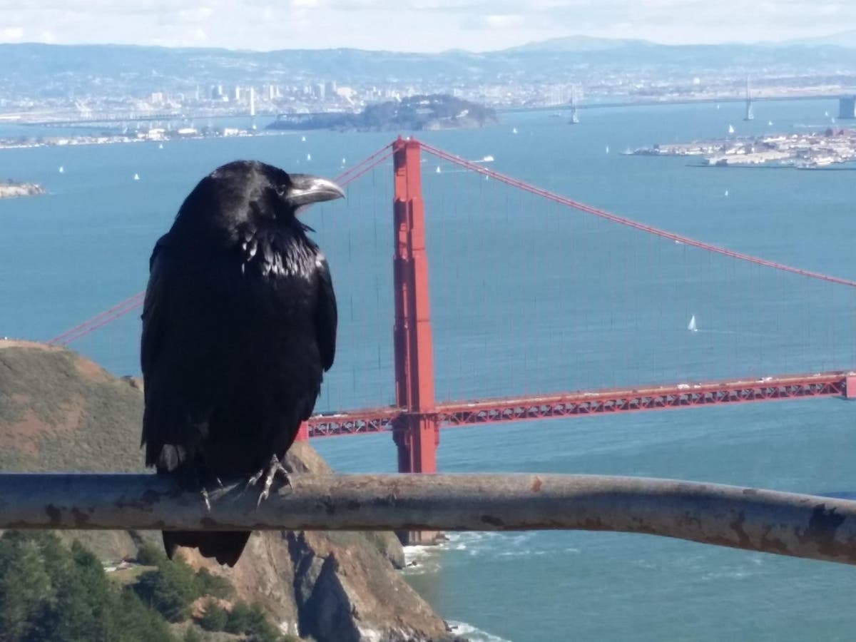 The Golden Gate Bridge, San Francisco, Calif.