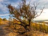 Don Edwards National Wildlife Refuge, Fremont, Calif.