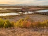 Don Edwards National Wildlife Refuge, Fremont, Calif.