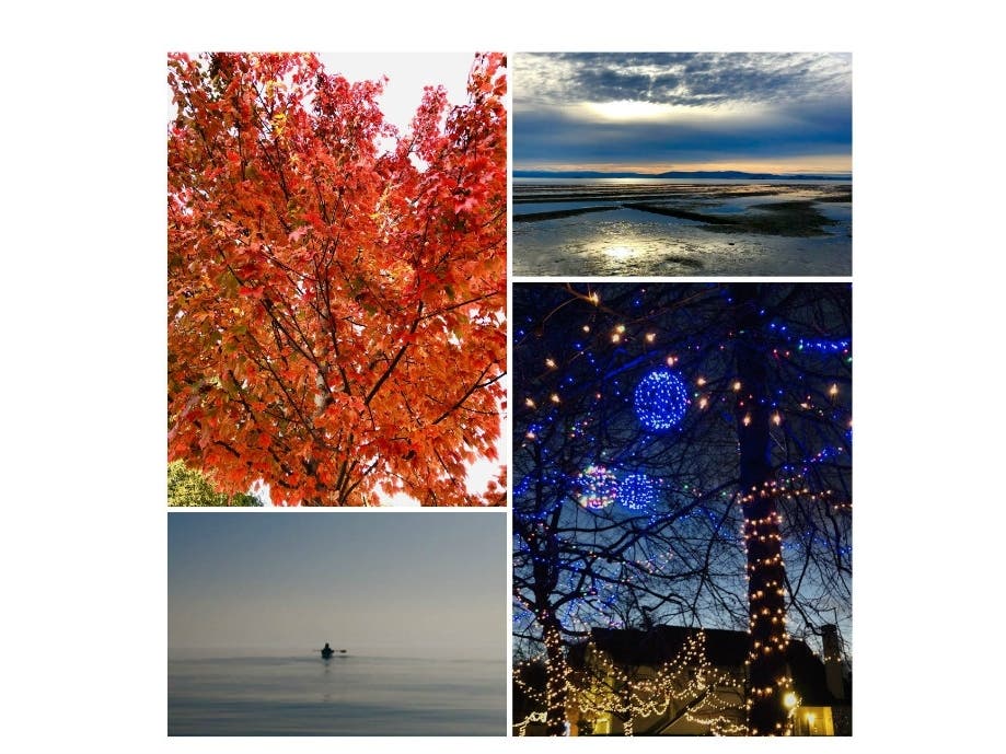 https://patch.com/img/cdn20/users/21854731/20201215/093236/styles/patch_image/public/alameda-beauty-collage___15092738306.jpg