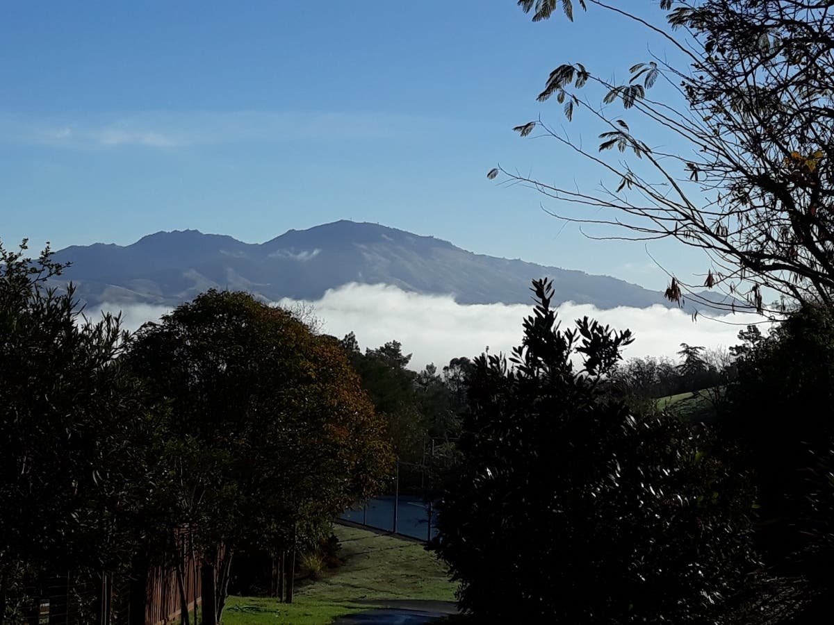 Mt. Diablo in the distance, Walnut Creek, Calif.