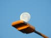The moon over a street light.