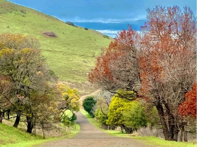 Coyote Hills Regional Park​​, Fremont, Calif.