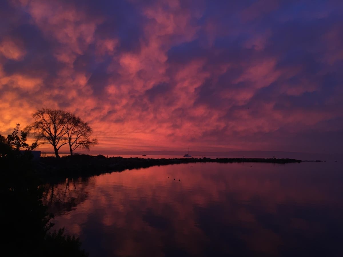 Crab Cove in Alameda, Calif.