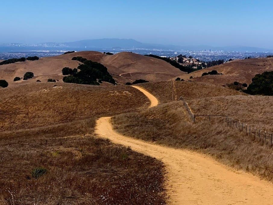 Hiking trail in the Hayward Hills, Hayward, Calif.