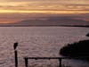 Coyote Hills Regional Park​​, Fremont, Calif.